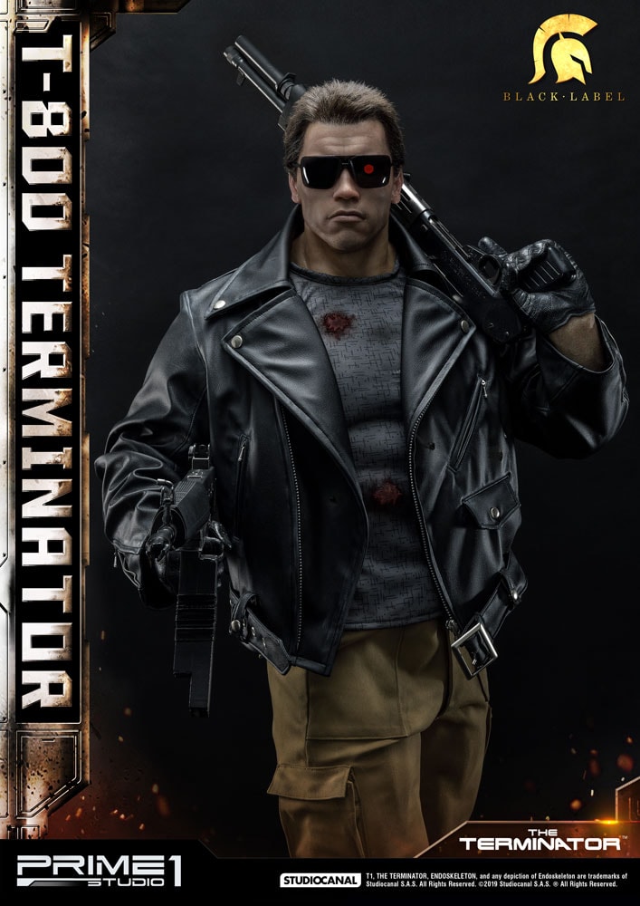 T-800 Terminator Collector Edition (Prototype Shown) View 19