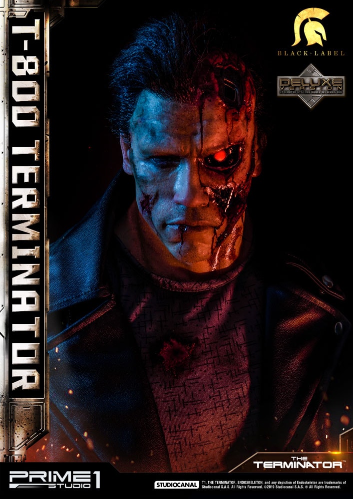 T-800 Terminator (Deluxe Version) (Prototype Shown) View 2