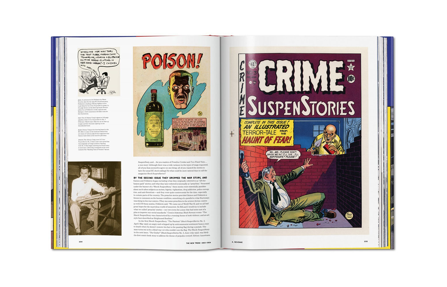 The History of EC Comics (Prototype Shown) View 9