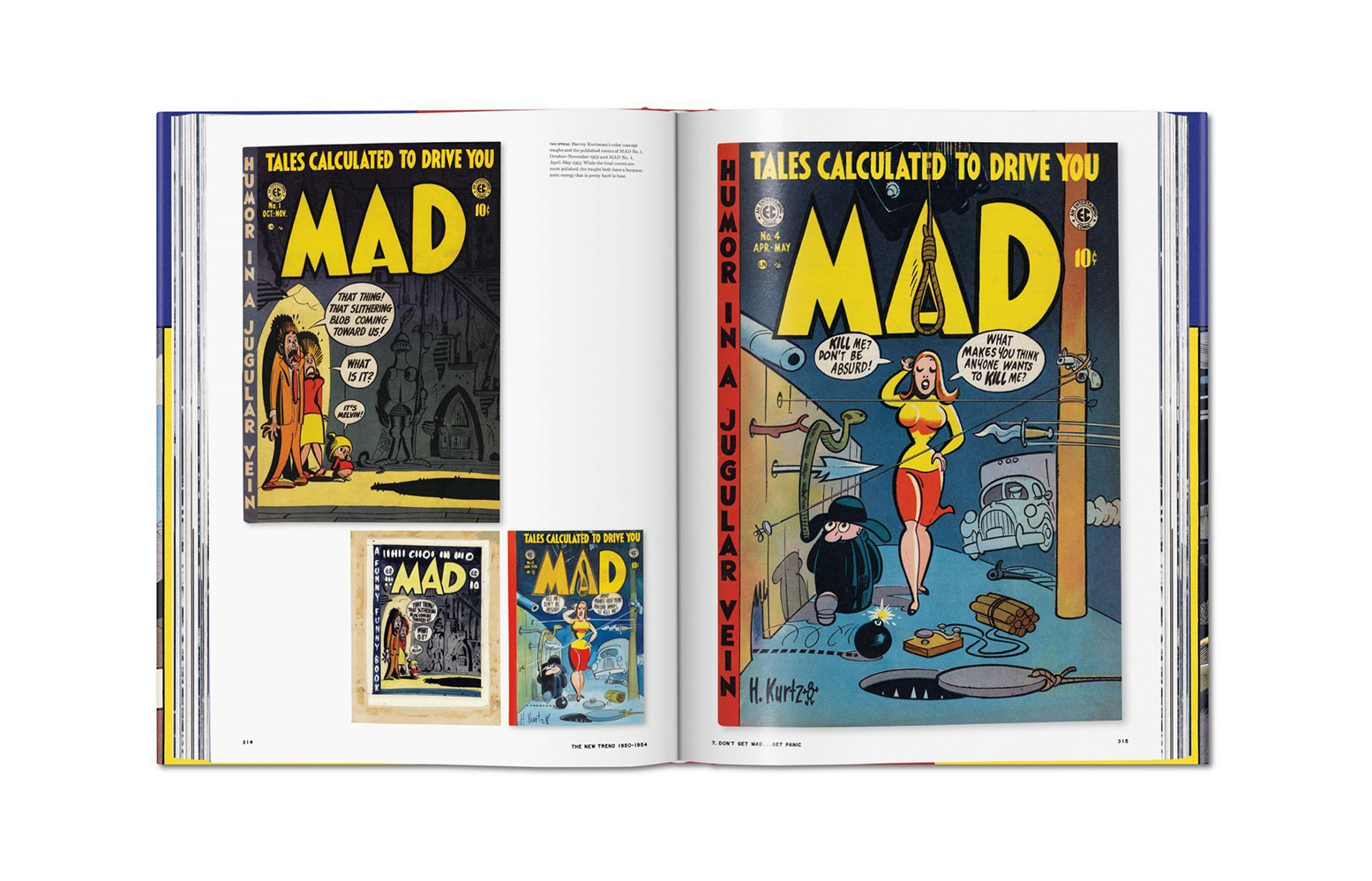 The History of EC Comics (Prototype Shown) View 10