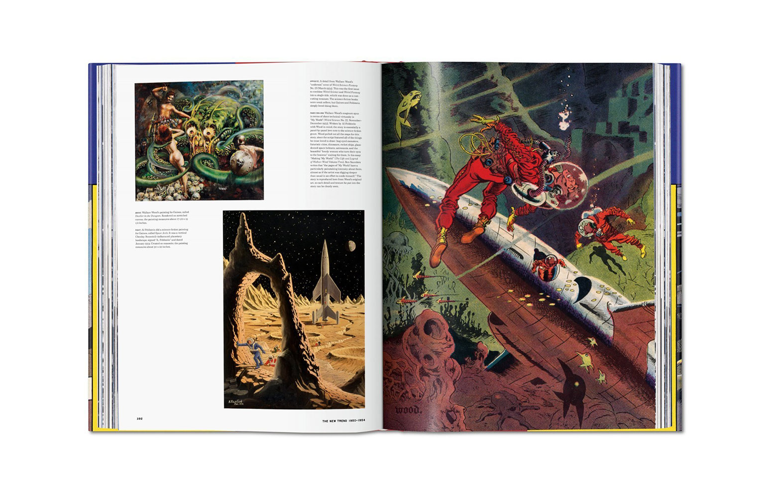The History of EC Comics (Prototype Shown) View 14