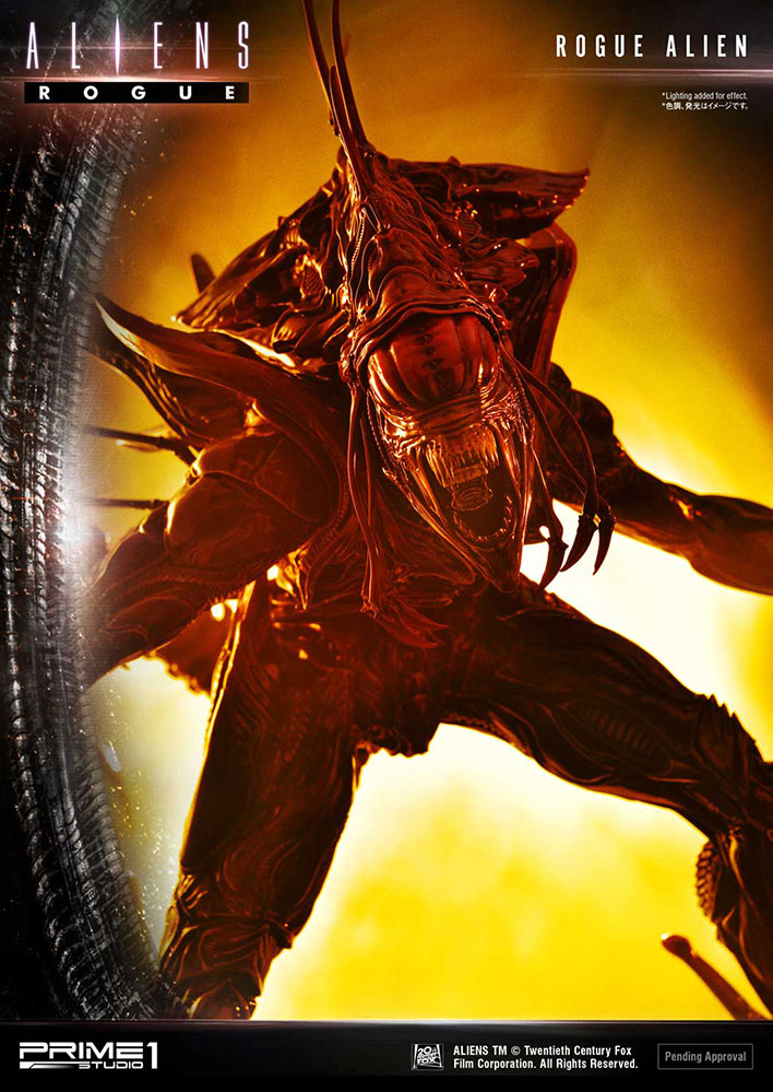 Rogue Alien Battle