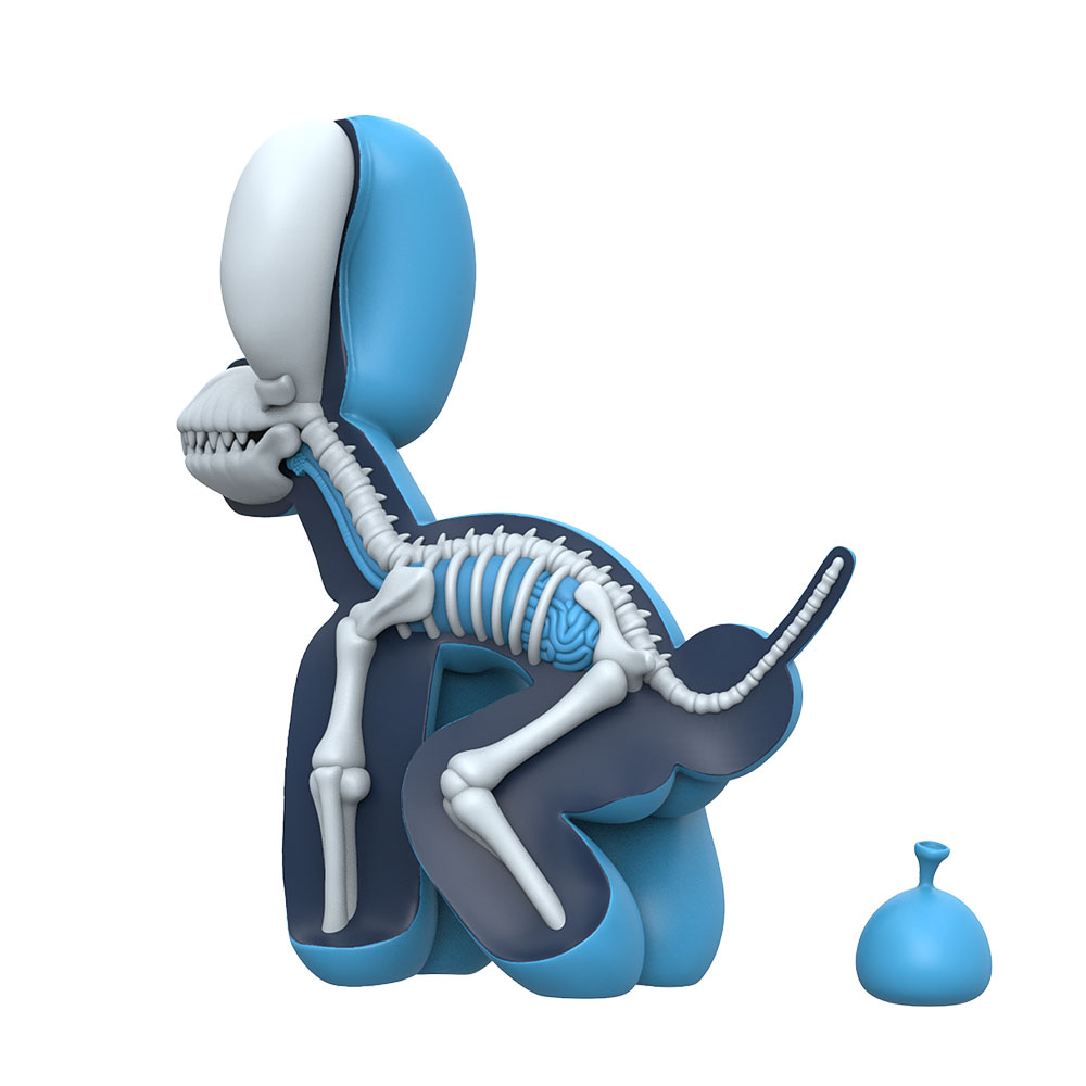 Dissected POPek (Blue Edition)- Prototype Shown