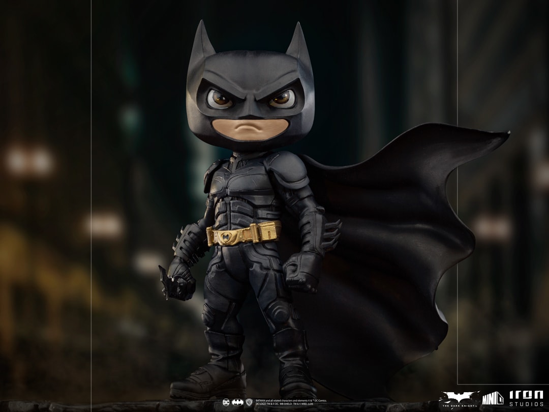 Batman (The Dark Knight) Mini Co.