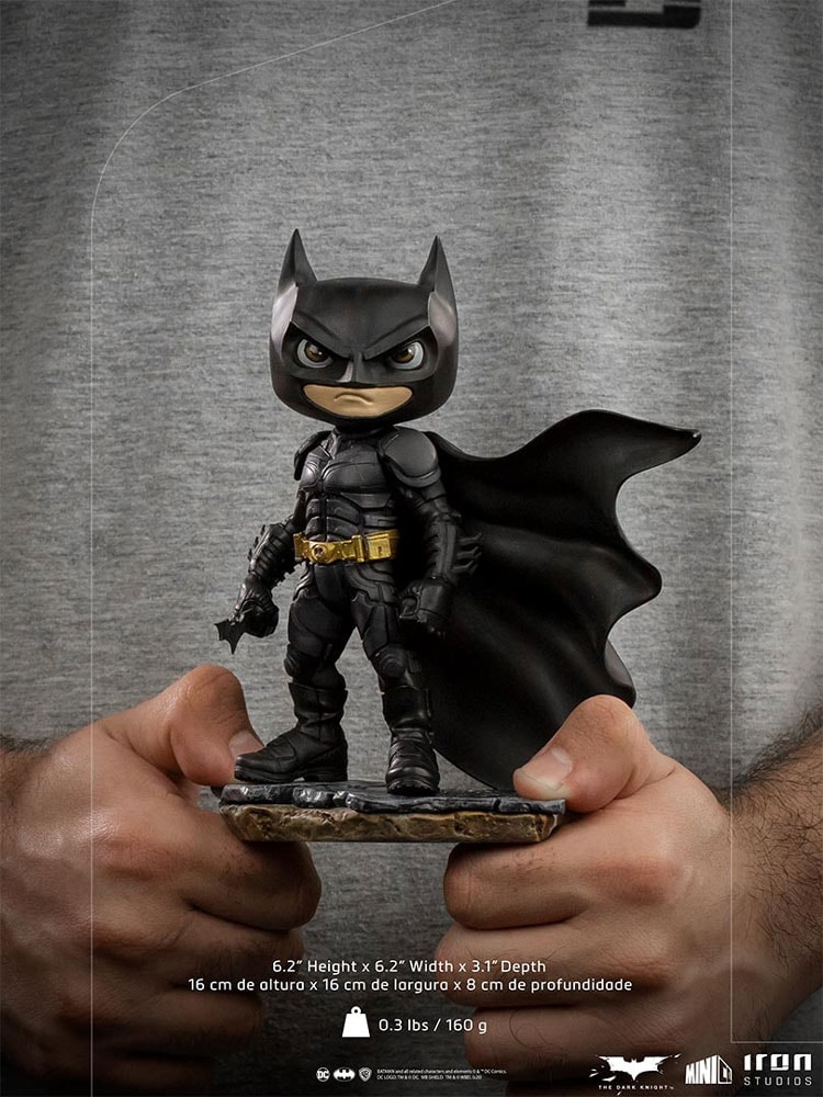 Batman (The Dark Knight) Mini Co.