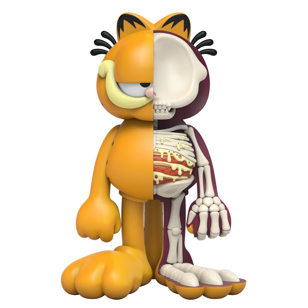XXRAY Plus: Garfield- Prototype Shown