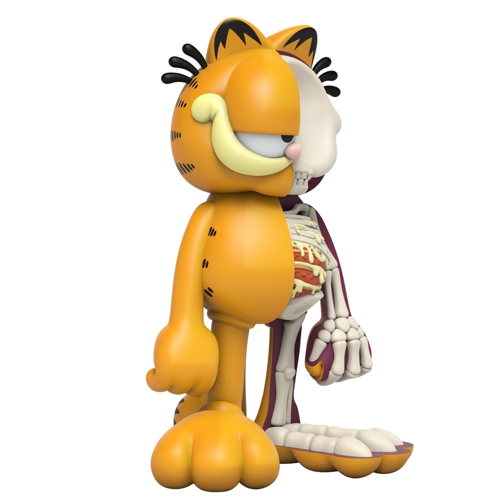 XXRAY Plus: Garfield