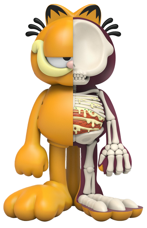 XXRAY Plus: Garfield