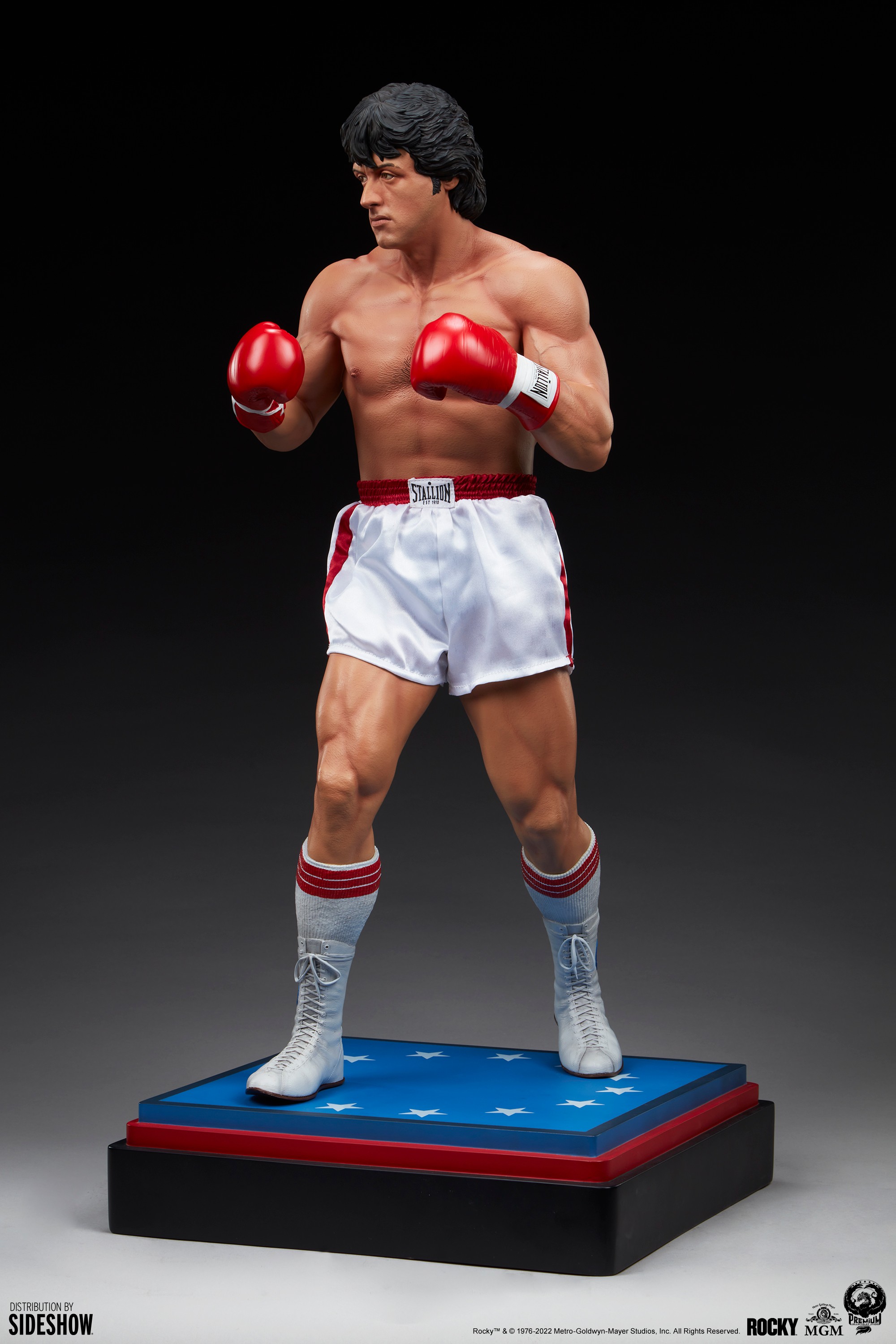 Italian Stallion View 6