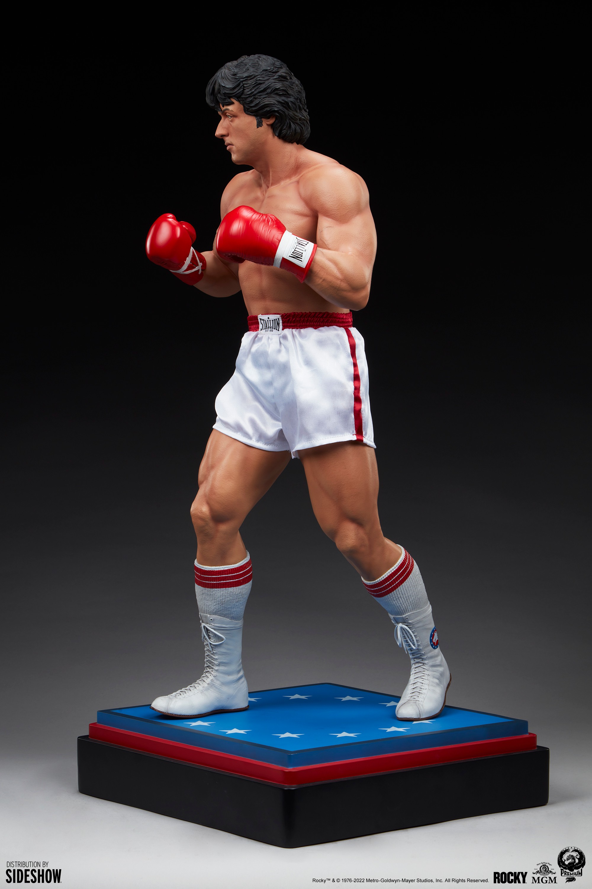 Italian Stallion View 7