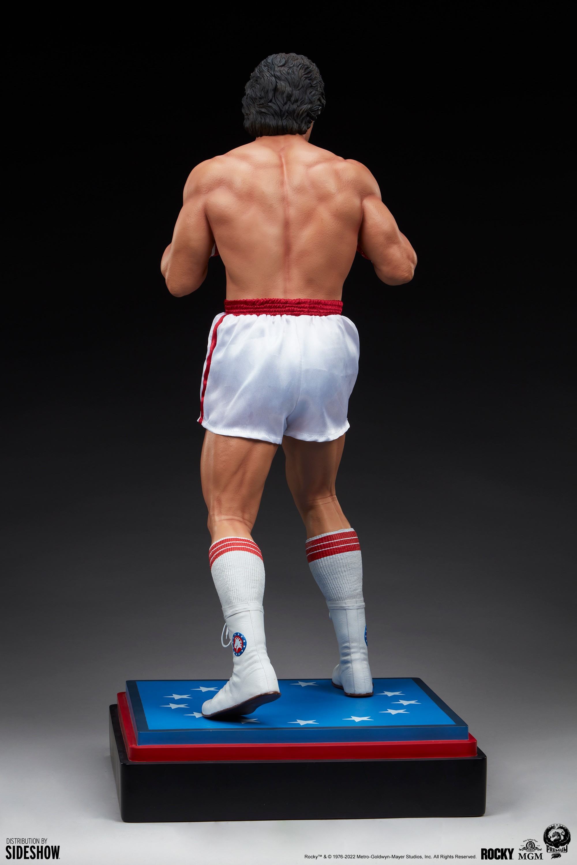Italian Stallion View 8