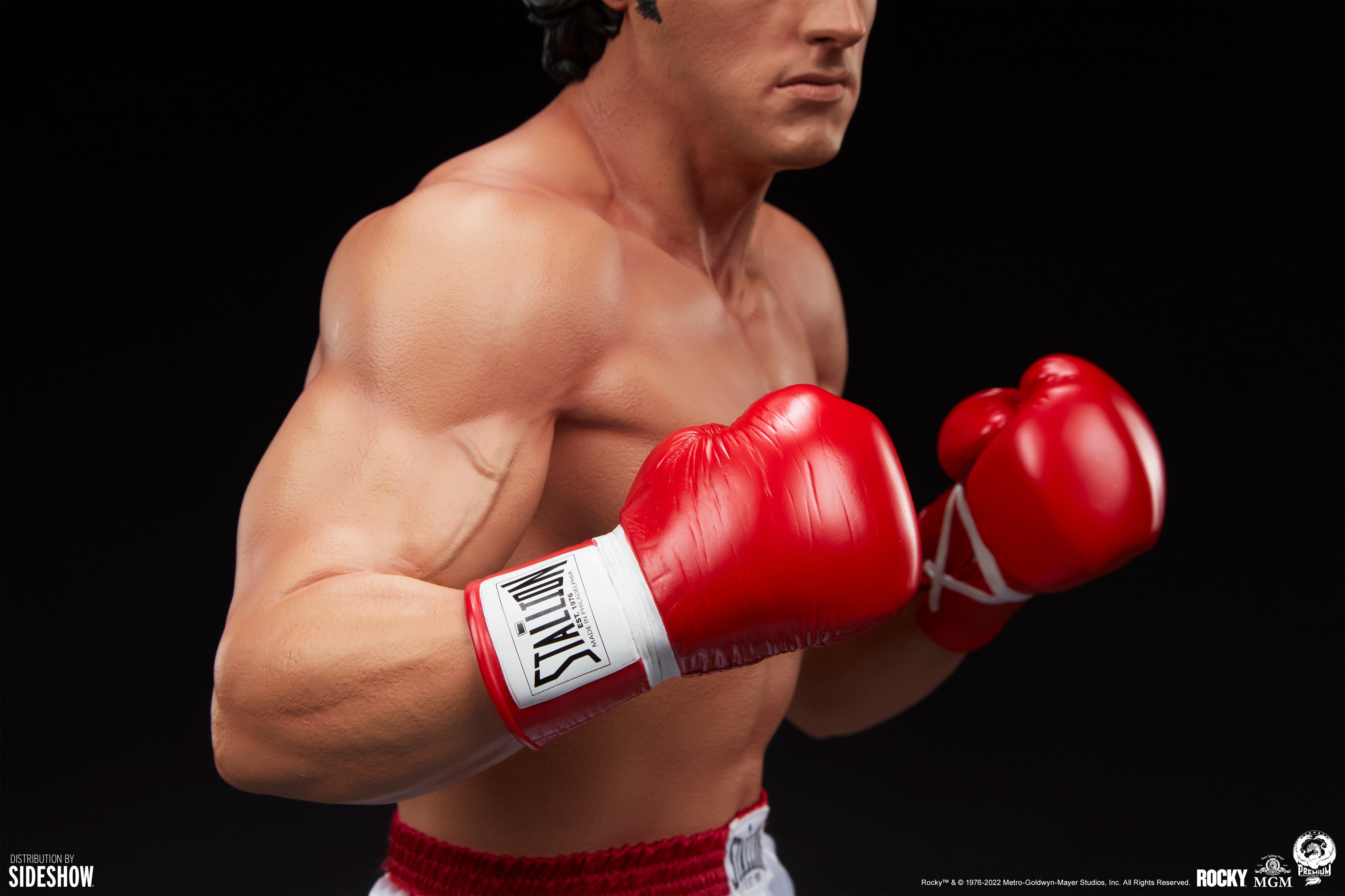 Italian Stallion View 15