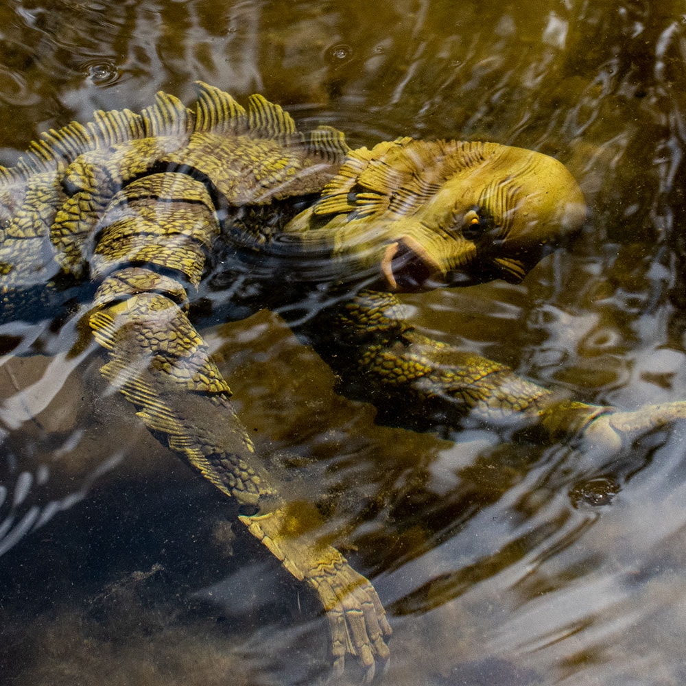 Creature from the Black Lagoon Collector Edition (Prototype Shown) View 15