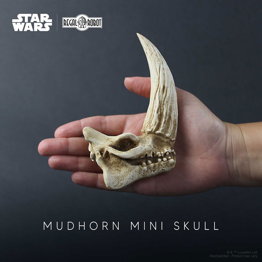 Mudhorn Skull