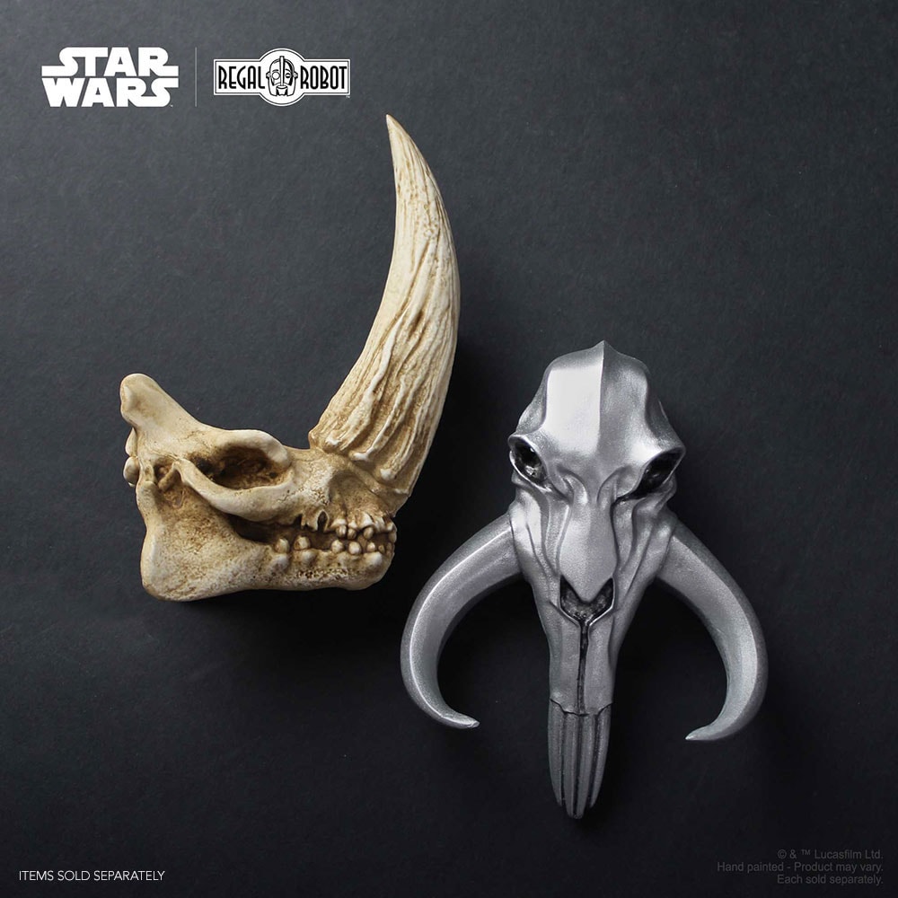 Mudhorn Skull