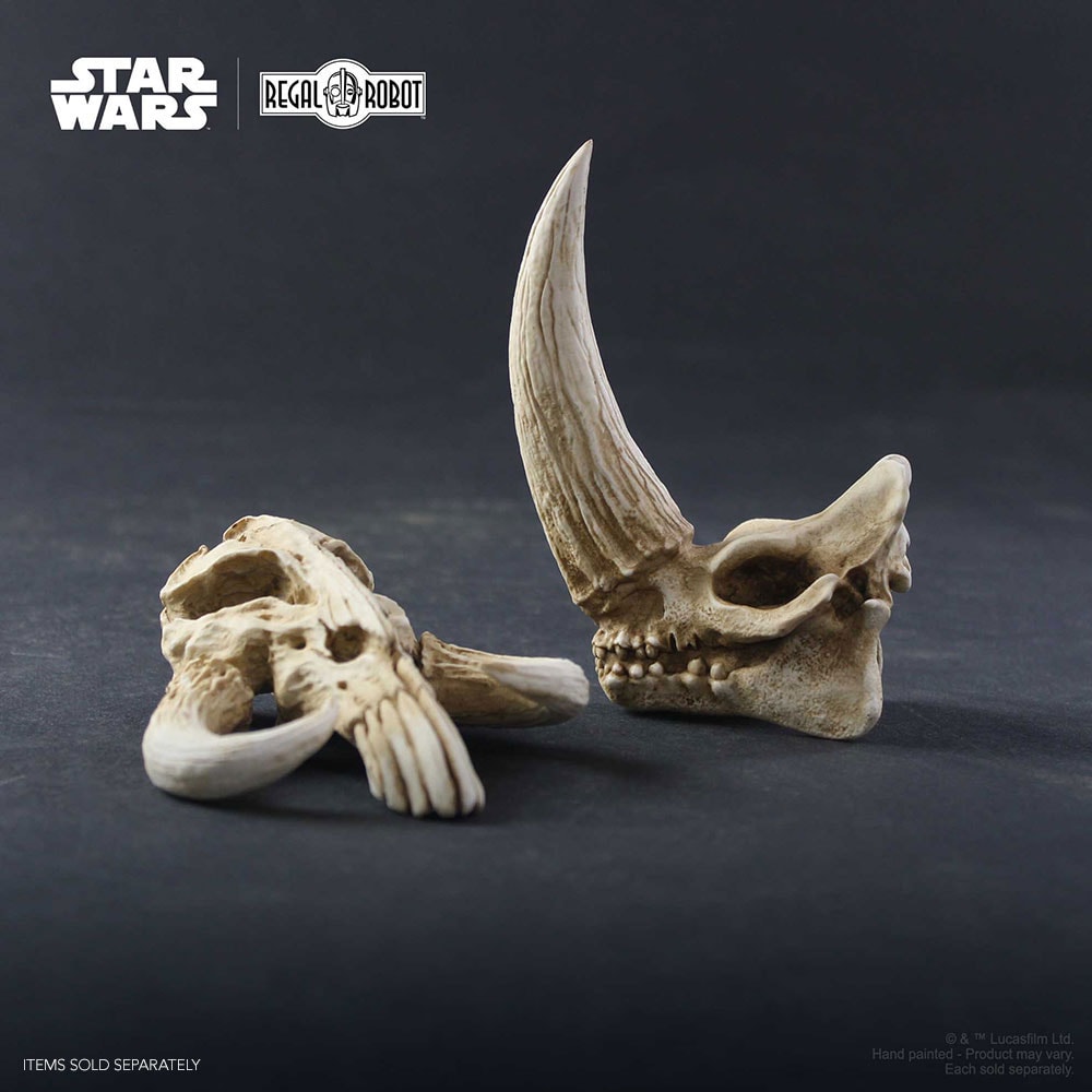 Mudhorn Skull
