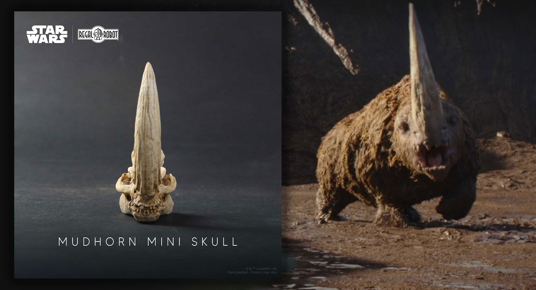 Mudhorn Skull