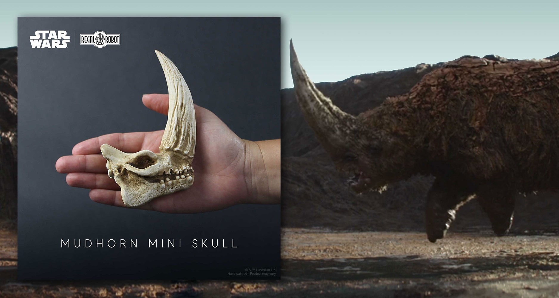Mudhorn Skull