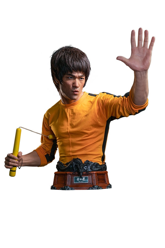 Bruce Lee (Prototype Shown) View 18