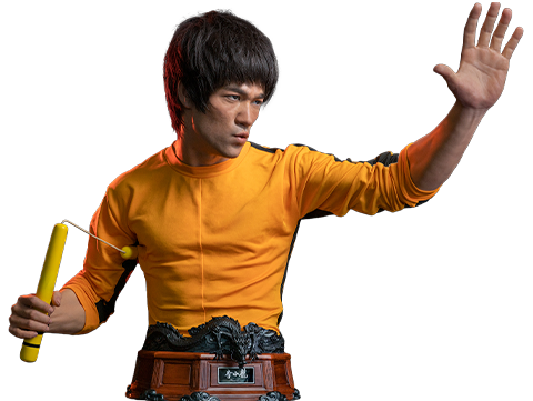 Bruce Lee (Prototype Shown) View 23