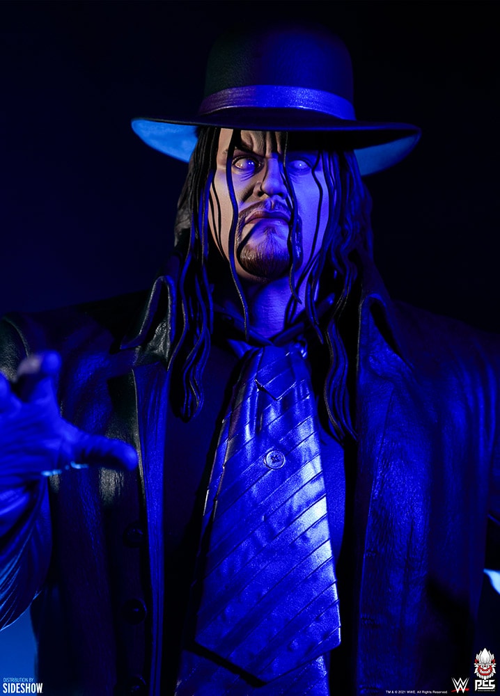 The Undertaker: Summer Slam '94