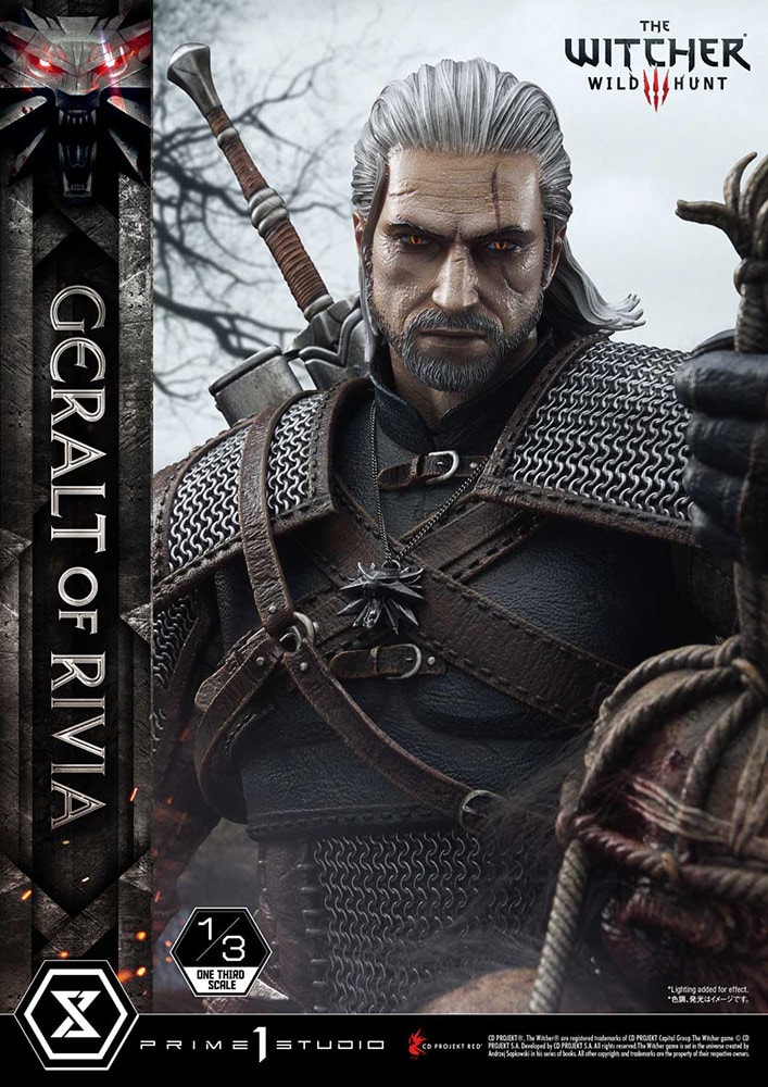 Geralt of Rivia Collector Edition (Prototype Shown) View 29