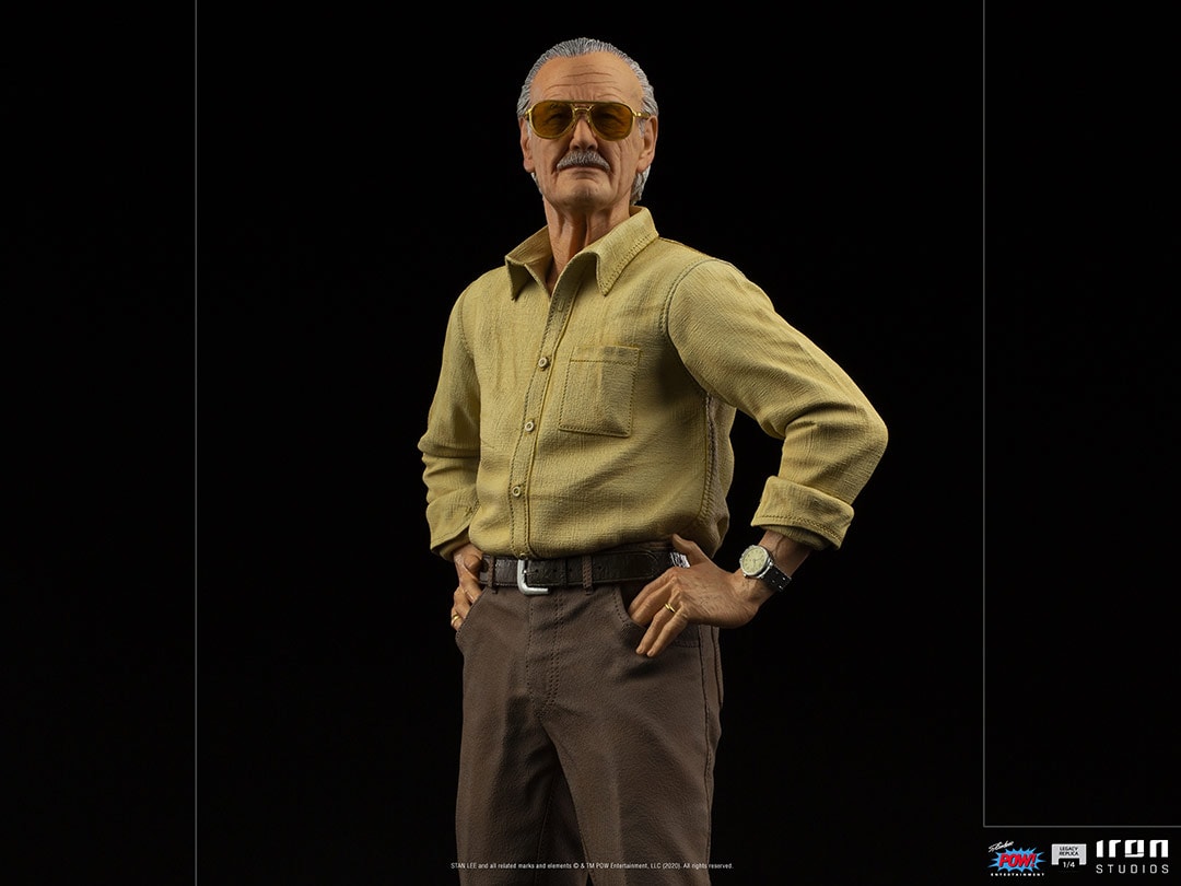 Stan Lee Pow! (Prototype Shown) View 9