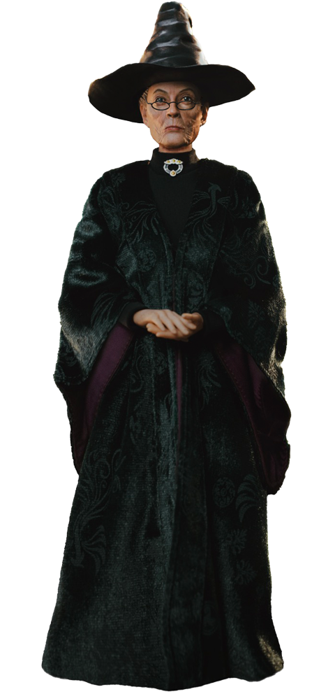 Minerva McGonagall Collector Edition (Prototype Shown) View 9