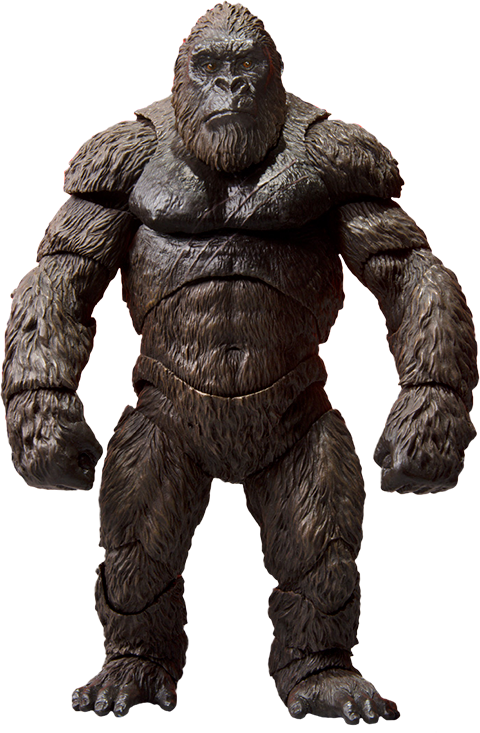 Kong
