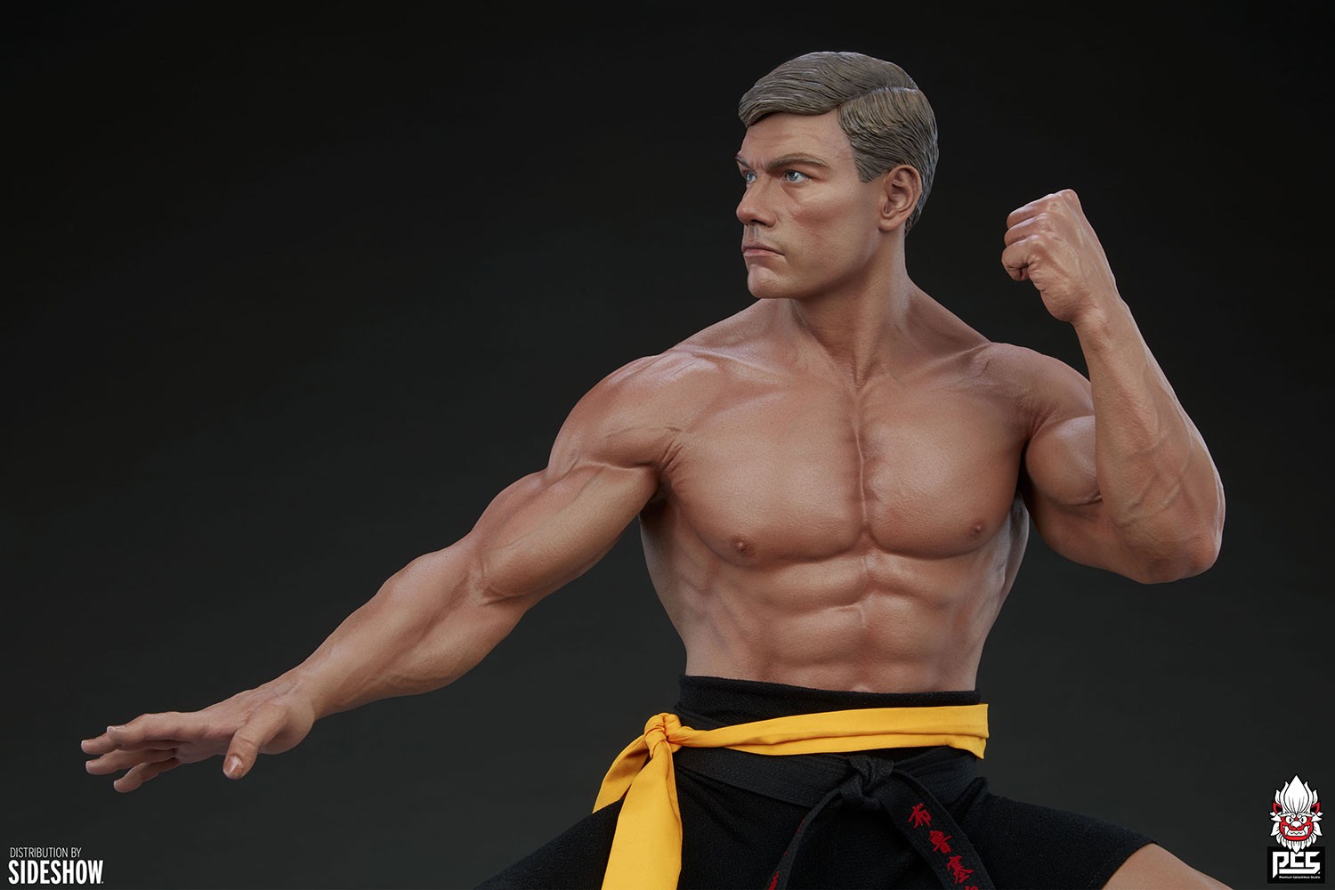 Jean-Claude Van Damme: Shotokan Tribute