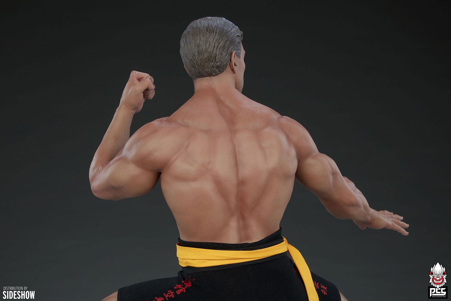 Jean-Claude Van Damme: Shotokan Tribute