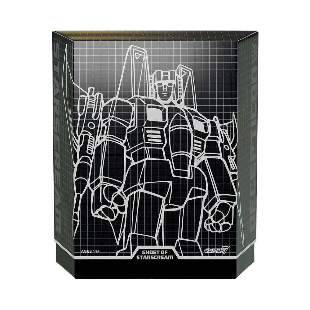 Ghost of Starscream View 8