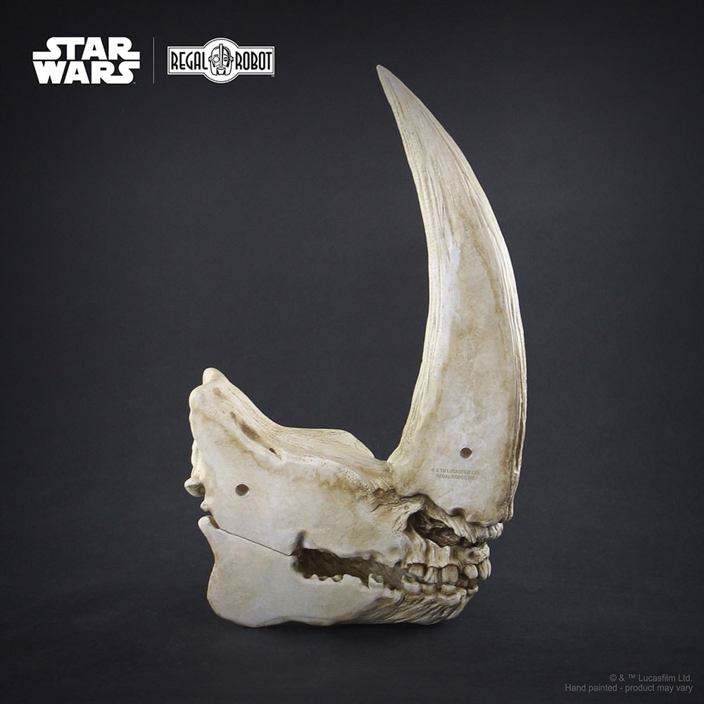 Mudhorn Skull Wall Decor