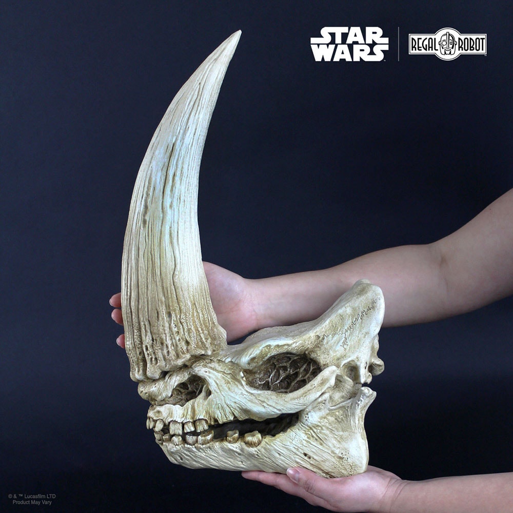Mudhorn Skull Wall Decor