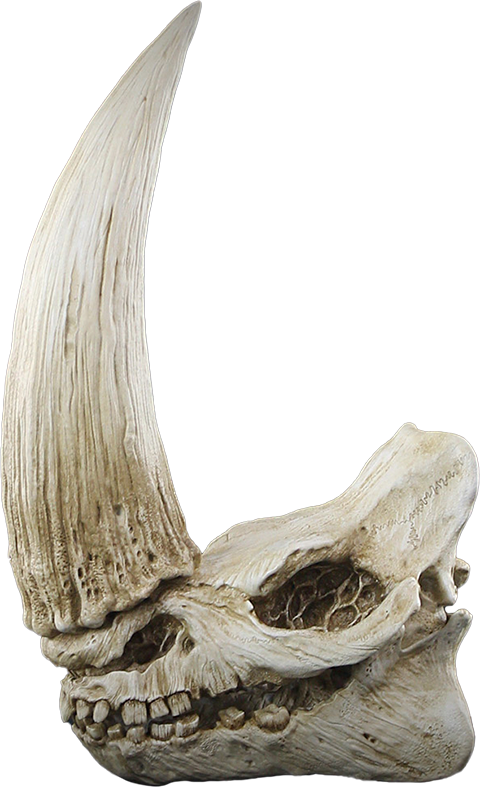 Mudhorn Skull Wall Decor