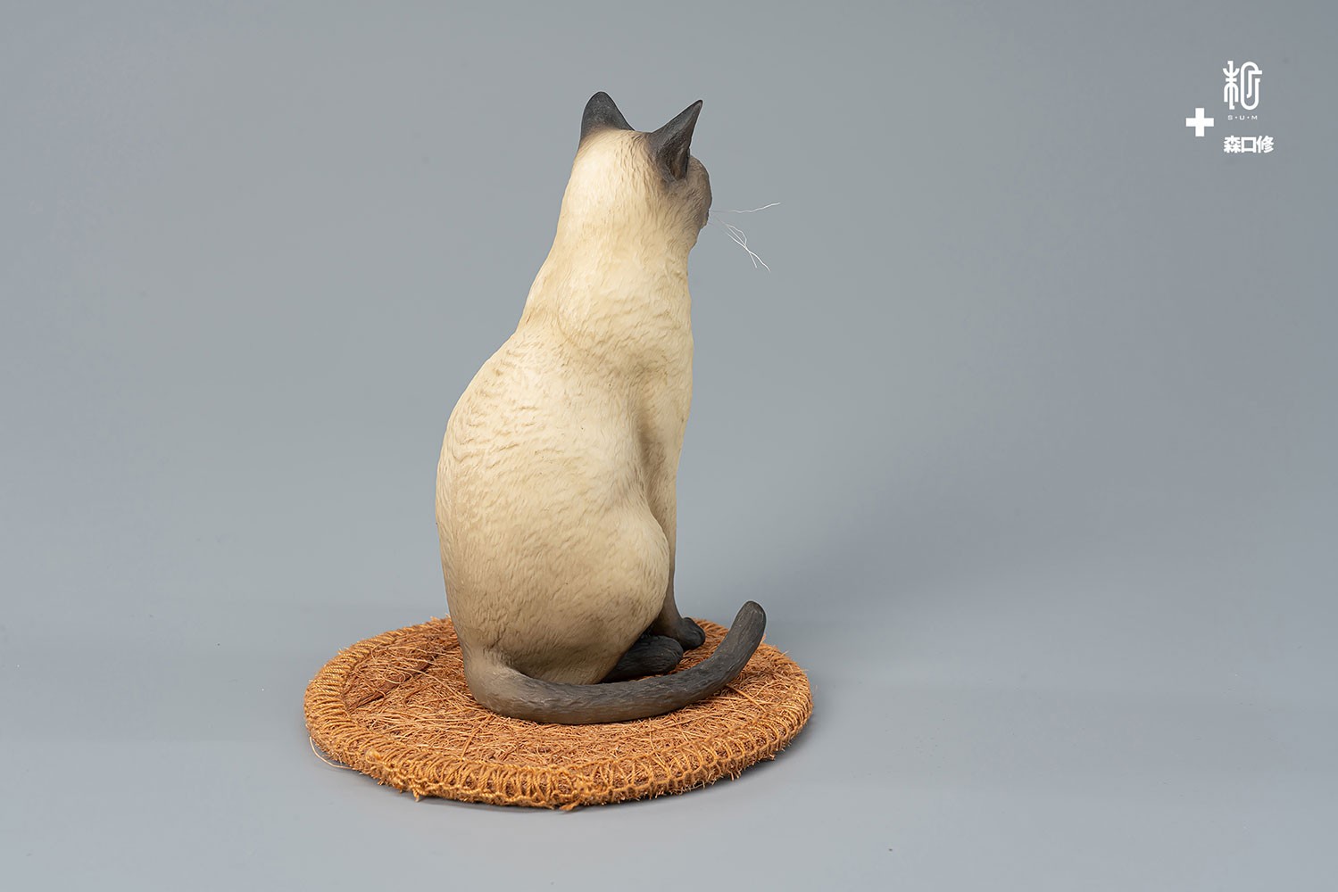 Siamese Cat
