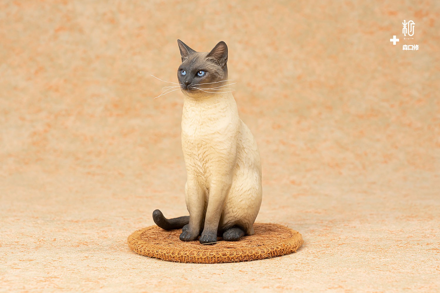Siamese Cat
