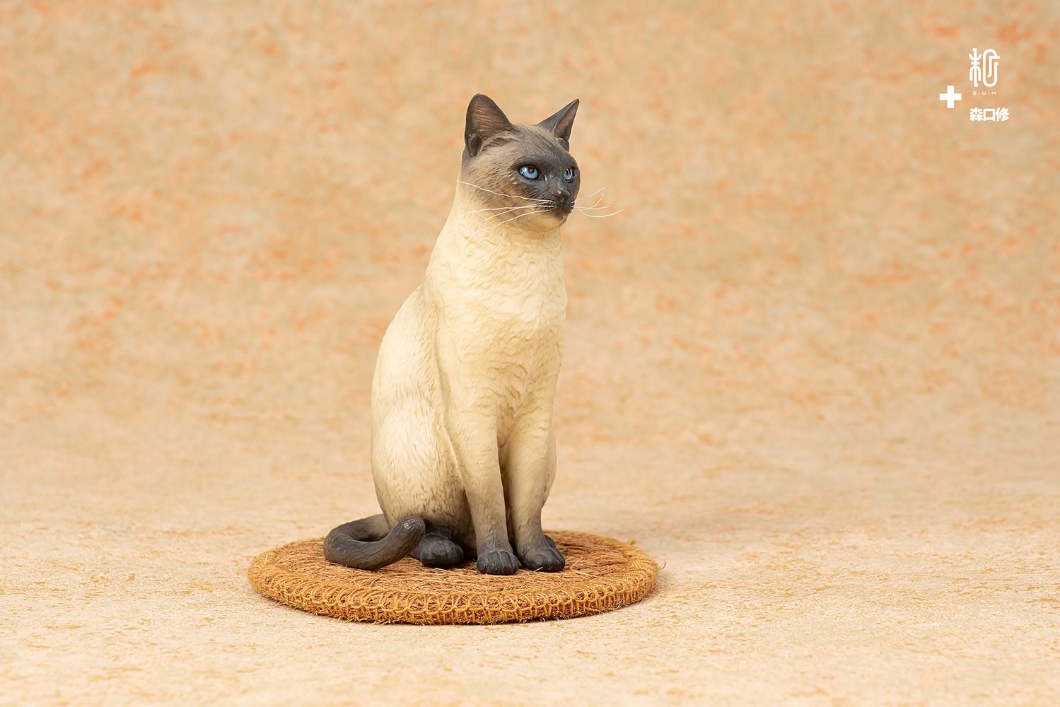Siamese Cat