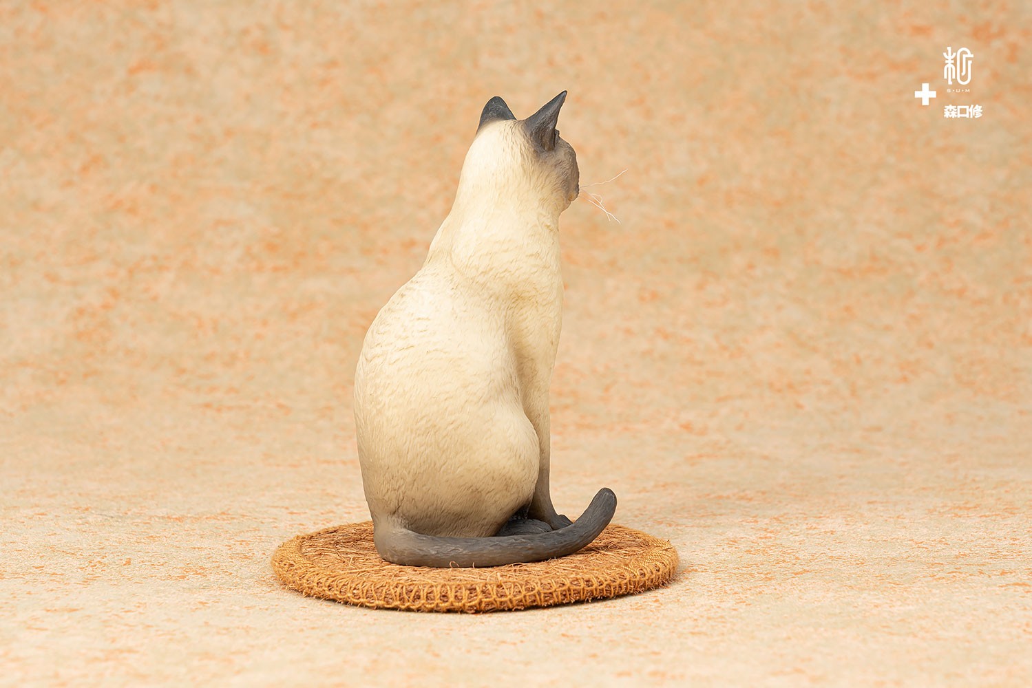 Siamese Cat