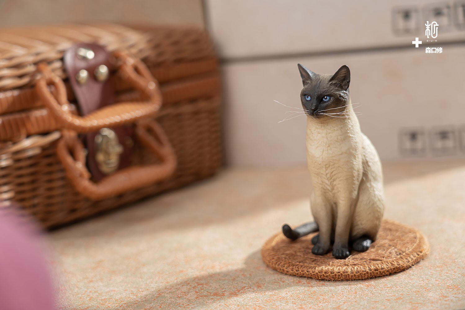Siamese Cat