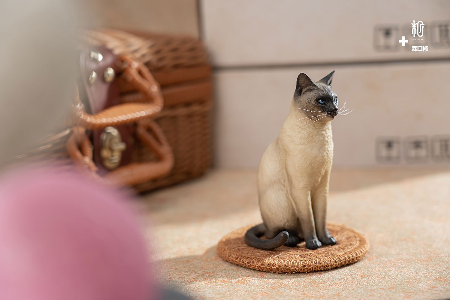 Siamese Cat