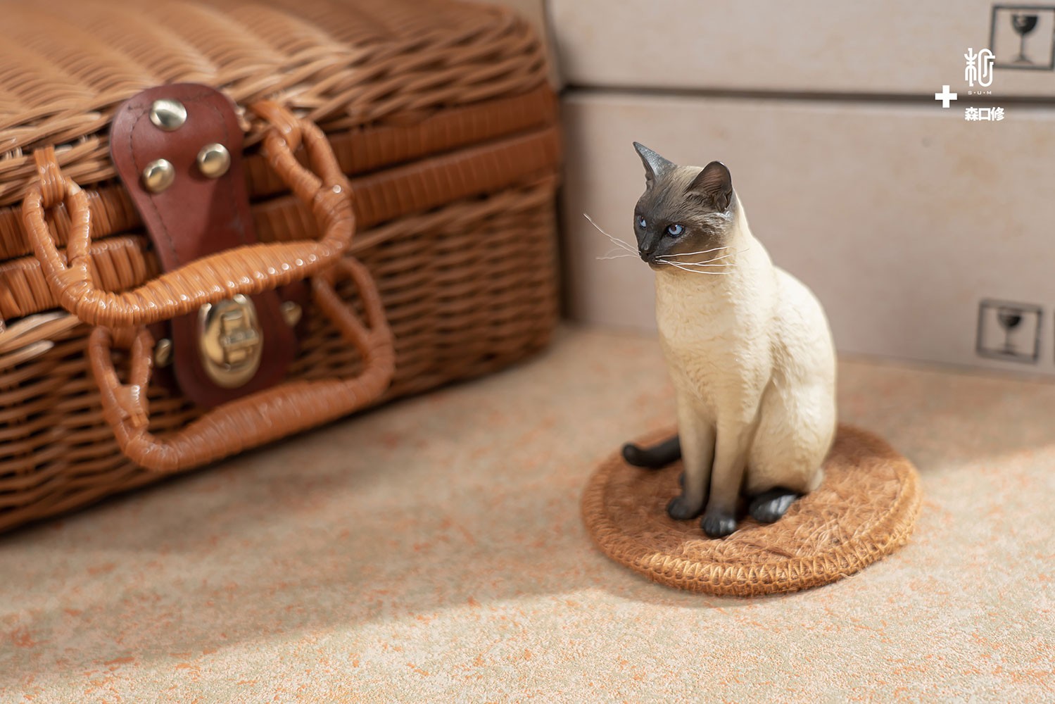 Siamese Cat