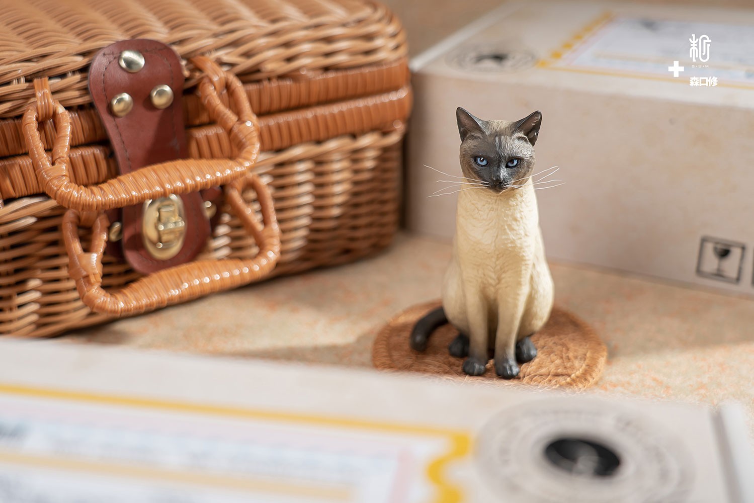 Siamese Cat