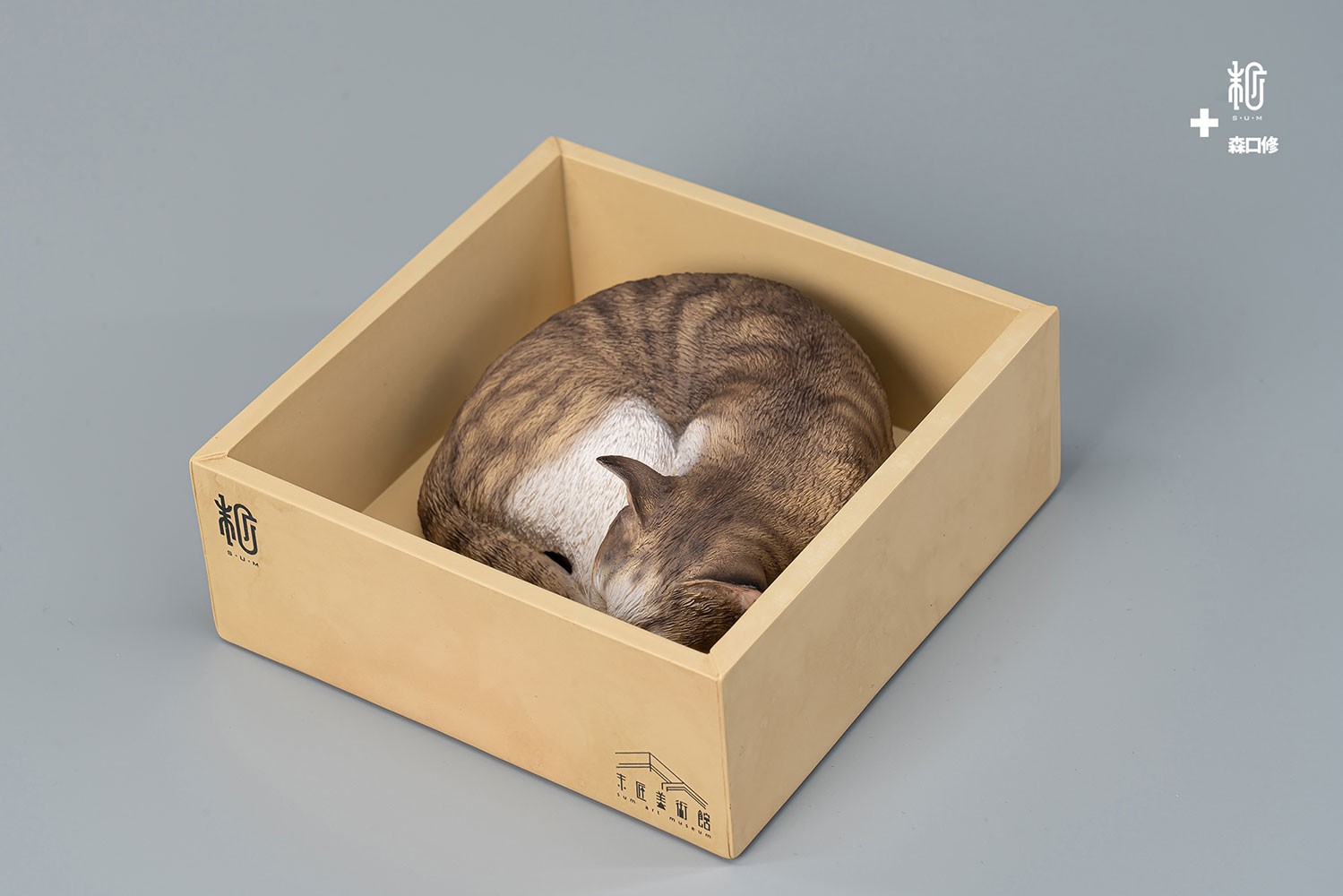 Sleeping Tabby Cat View 3