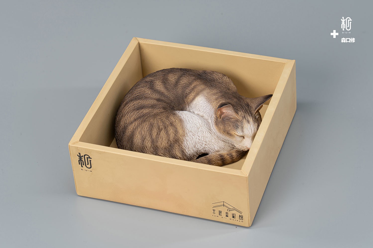 Sleeping Tabby Cat View 4