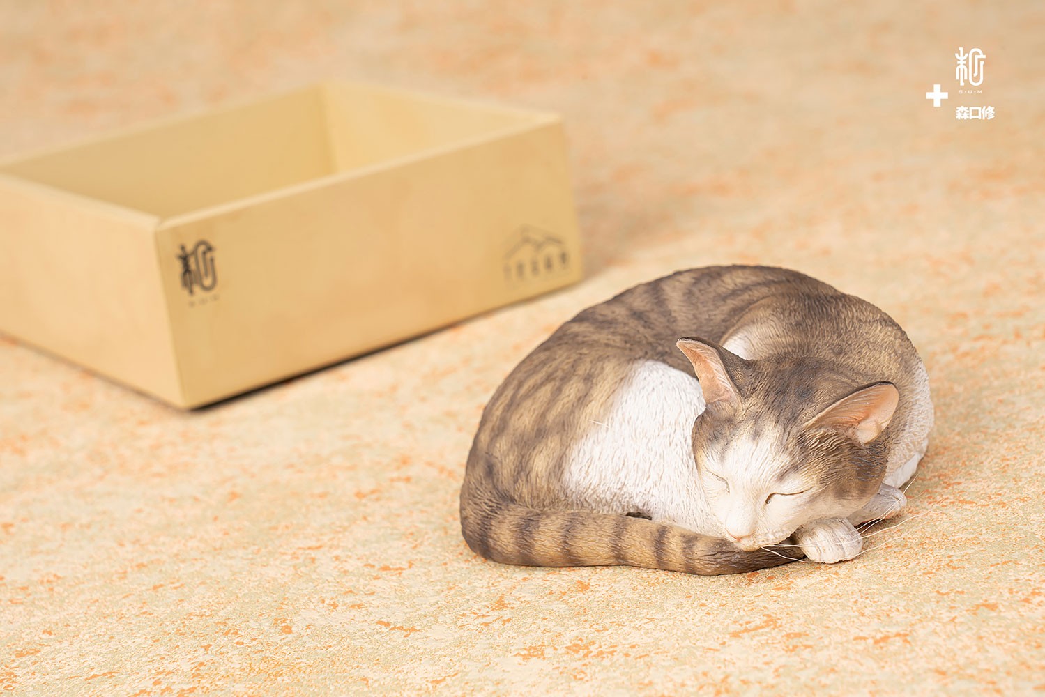 Sleeping Tabby Cat View 5