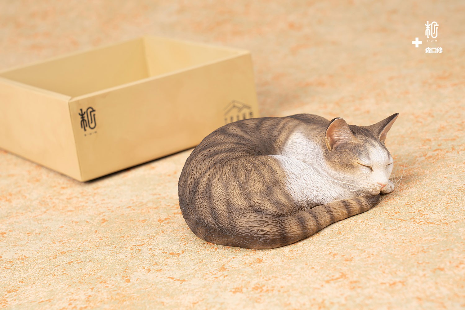 Sleeping Tabby Cat View 6