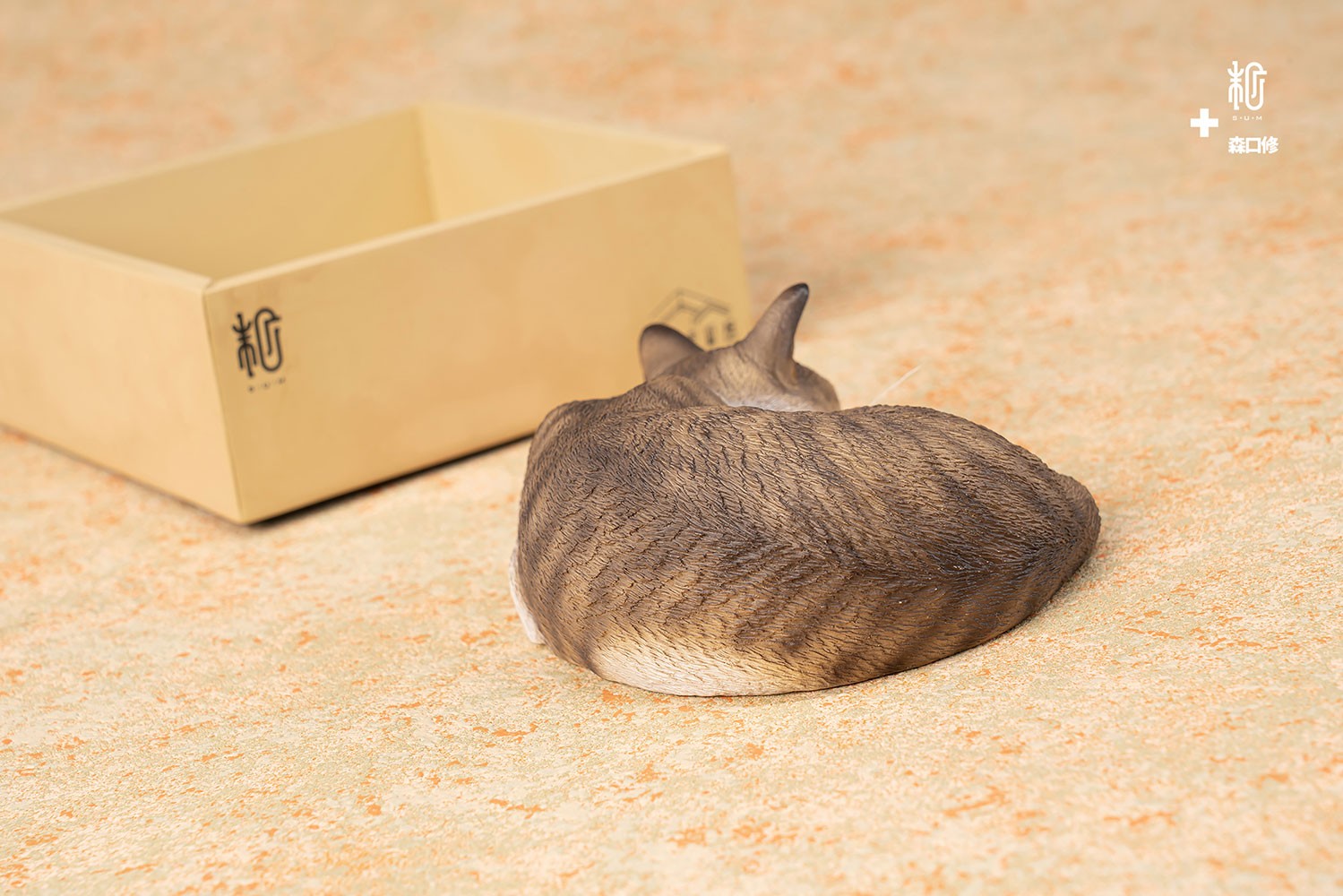 Sleeping Tabby Cat View 7