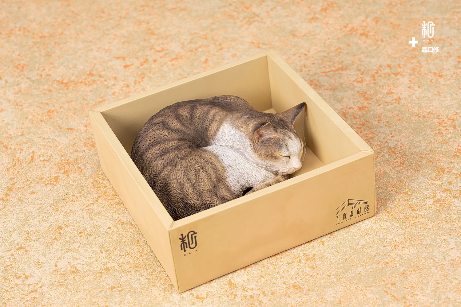 Sleeping Tabby Cat View 8