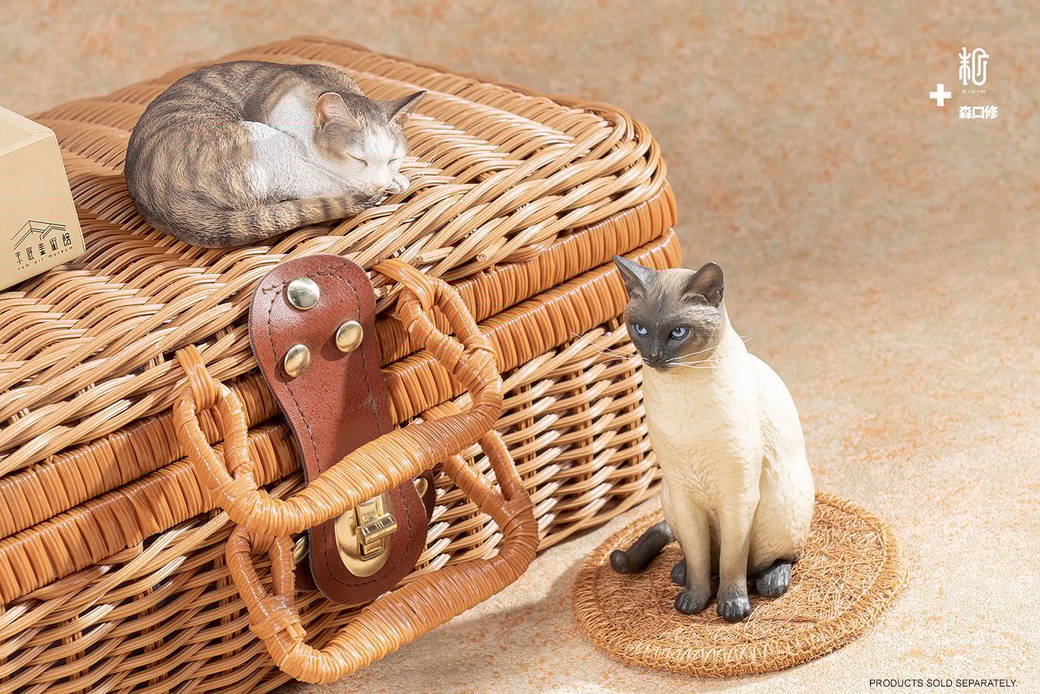 Sleeping Tabby Cat View 10